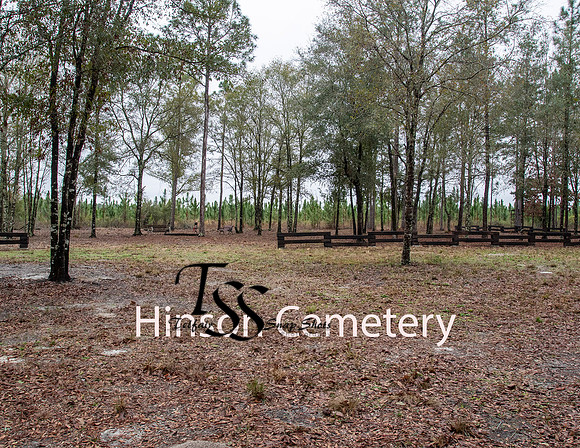HInson Cemetery overview
