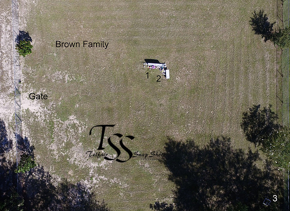 Brown Family