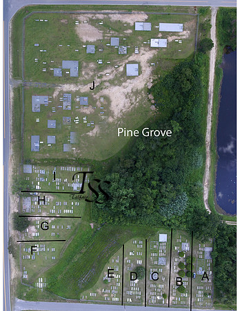 1. Pine Grove Sections