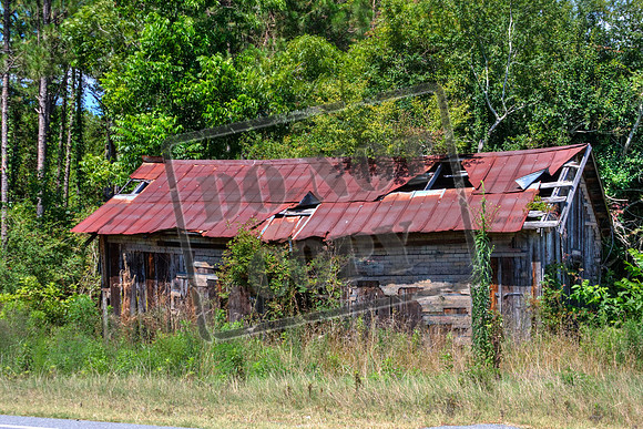 wheeler june 21_0019_46