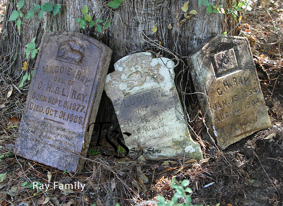 Ray Family
