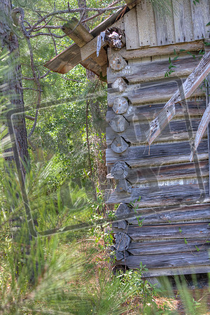 wheeler june 21_0037_46