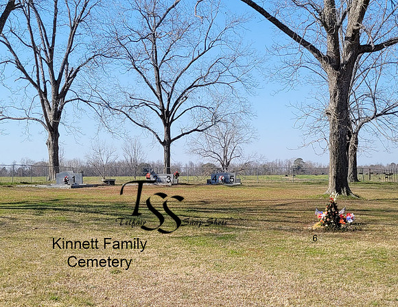 Kinnett Family aerial