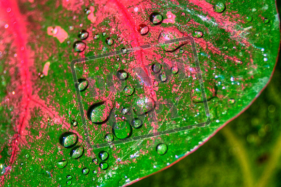 water_0009_46